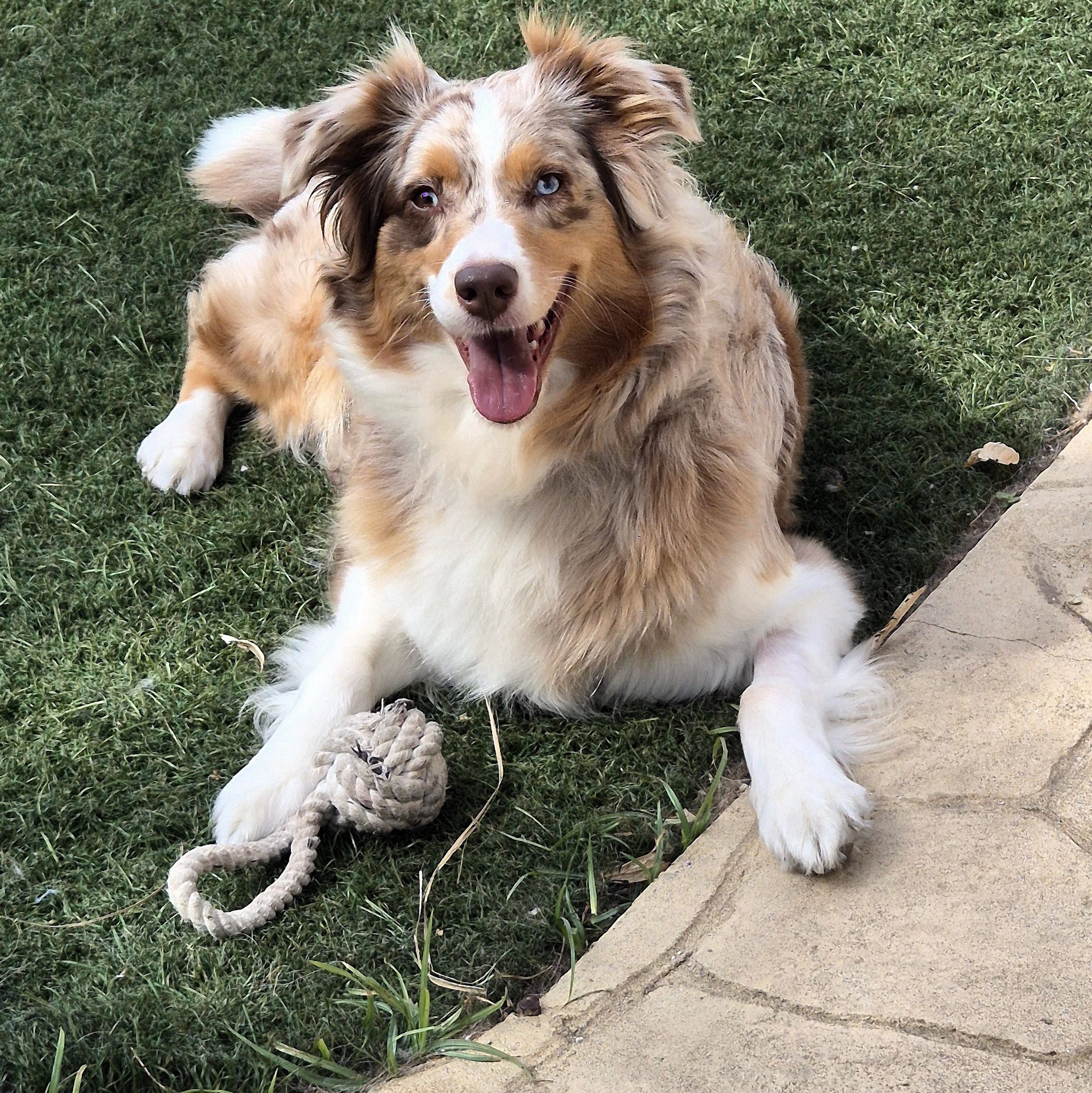 Zoe