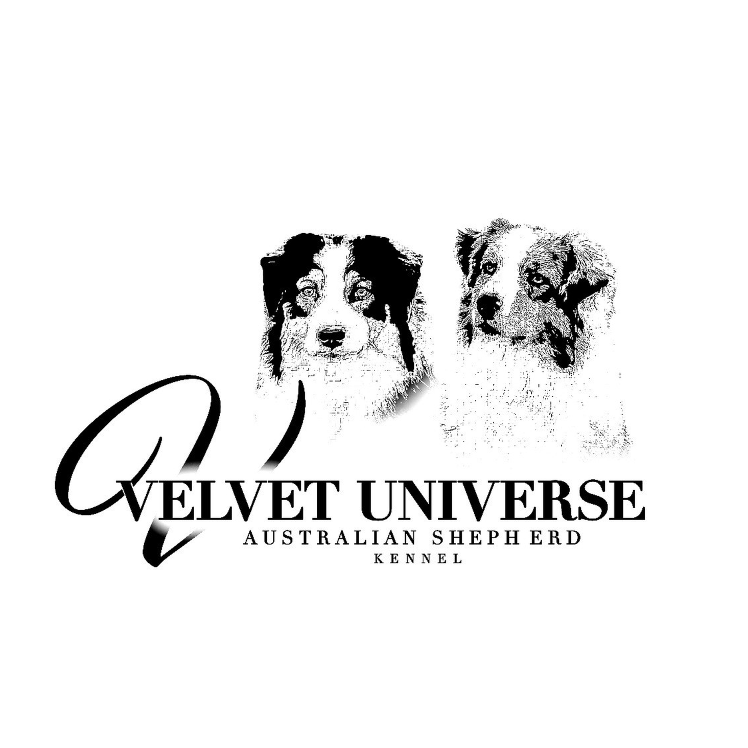 VELVET UNIVERSE